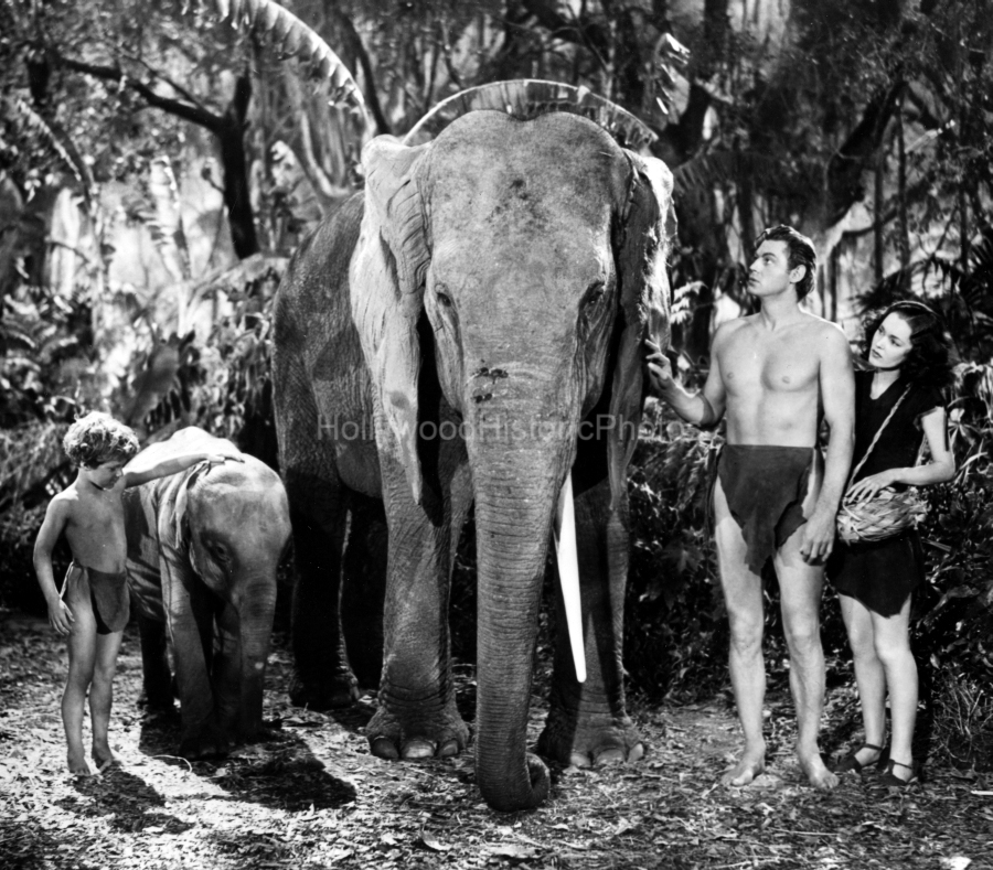 Tarzan Finds a Son 1939 Weissmuller Sheffield OSullivan.jpg